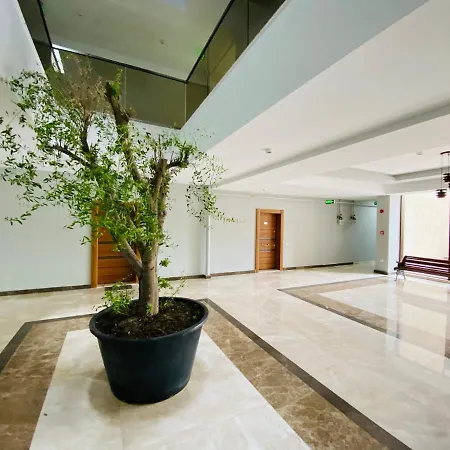 Apartament Solid Central Mamaia