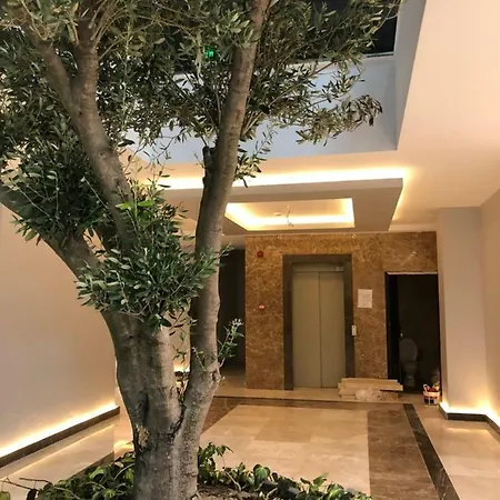 Apartament Solid Central Apartment *