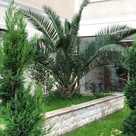Apartament Solid Central Apartment *